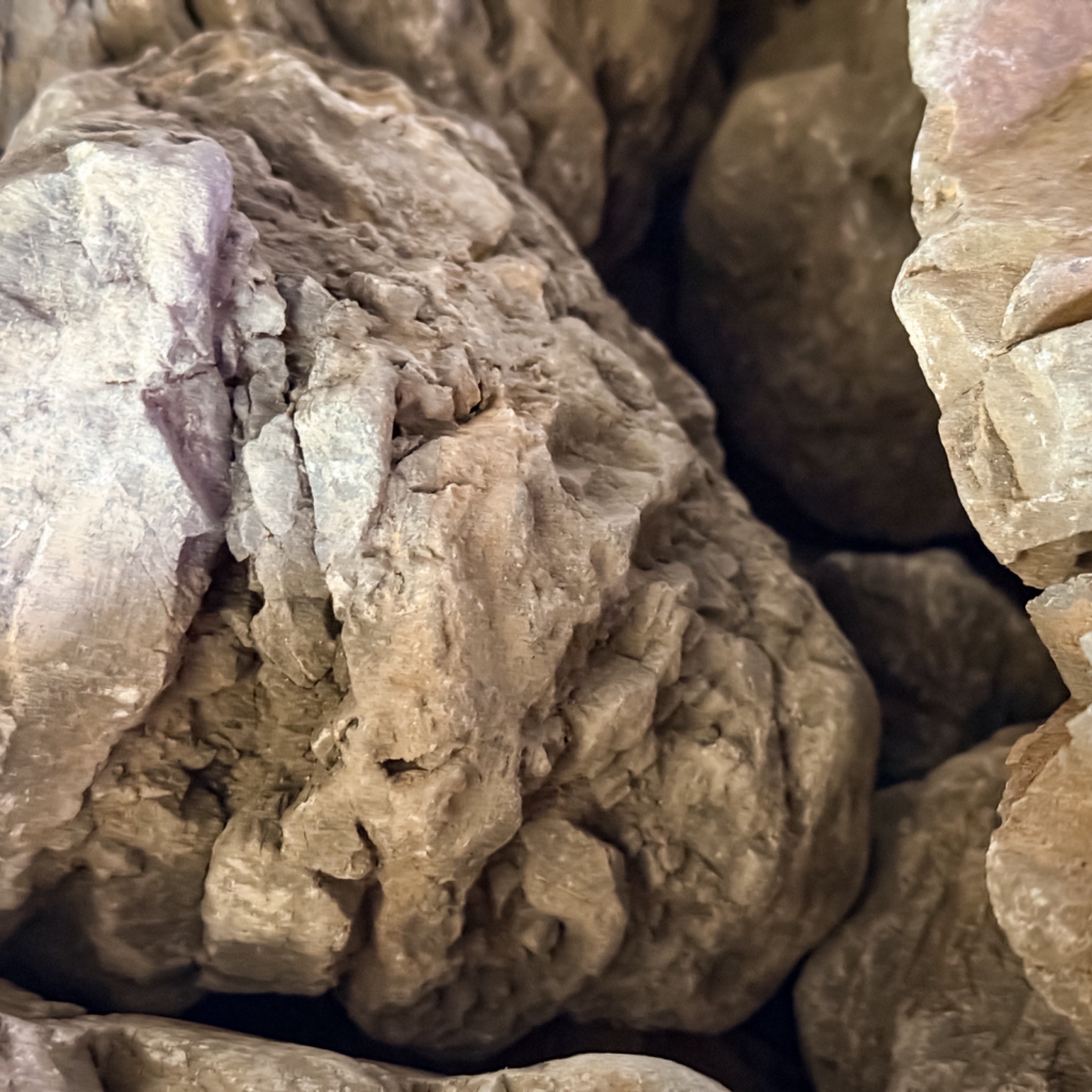 Mordor Rocks Mordor Rocks | Fancy Fishes